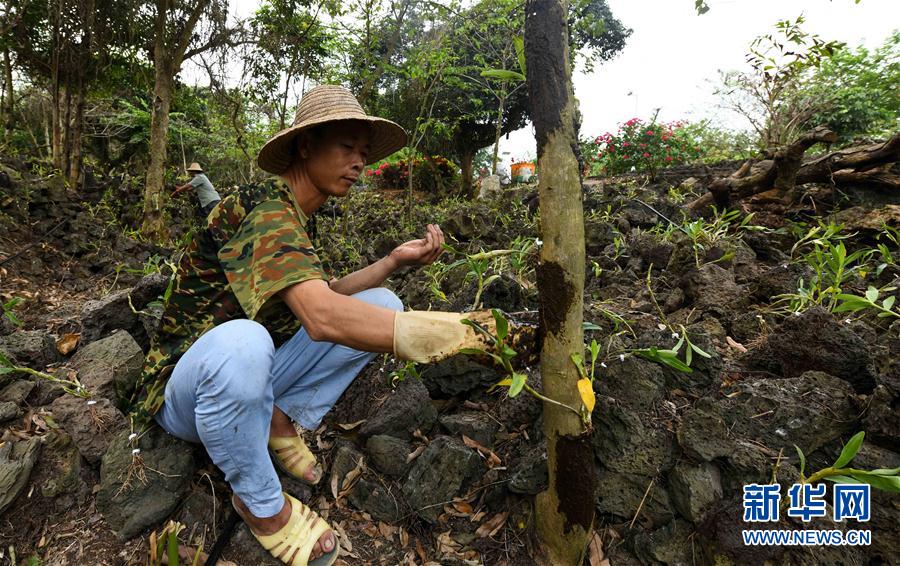 ���������5������ʩ�裺��ɫ�a(ch��n)�I(y��)������