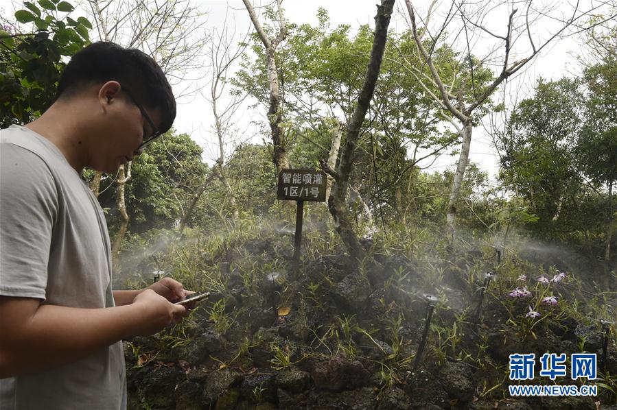 ���������6������ʩ�裺��ɫ�a(ch��n)�I(y��)������