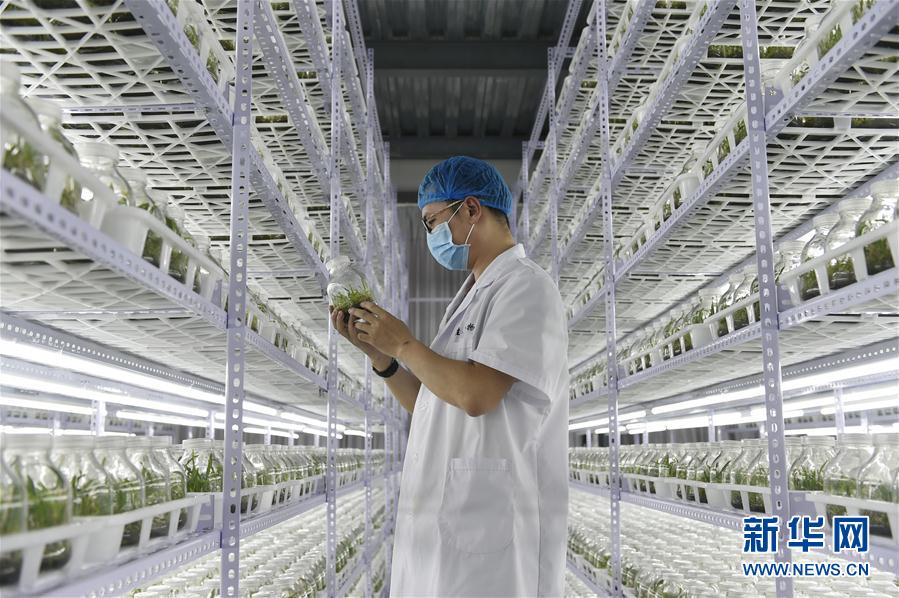 ���������7������ʩ�裺��ɫ�a(ch��n)�I(y��)������