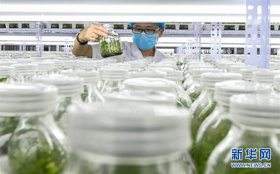 ���������8������ʩ�裺��ɫ�a(ch��n)�I(y��)������