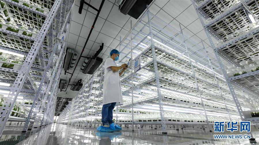 ���������9������ʩ�裺��ɫ�a(ch��n)�I(y��)������