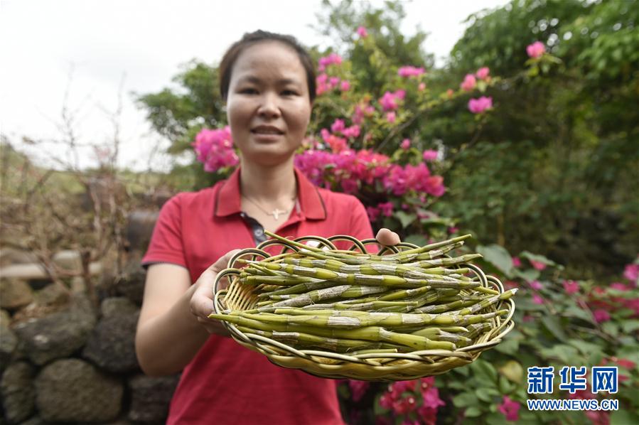 ���������11������ʩ�裺��ɫ�a(ch��n)�I(y��)������