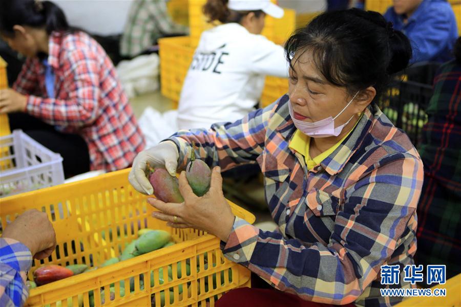 ����(j��ng)��(j��)����2������������������Ȼ��(y��u)��(sh��) ����â���a(ch��n)�I(y��)