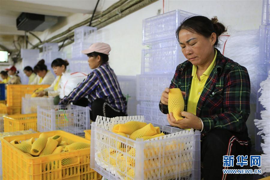 ����(j��ng)��(j��)����4������������������Ȼ��(y��u)��(sh��) ����â���a(ch��n)�I(y��)