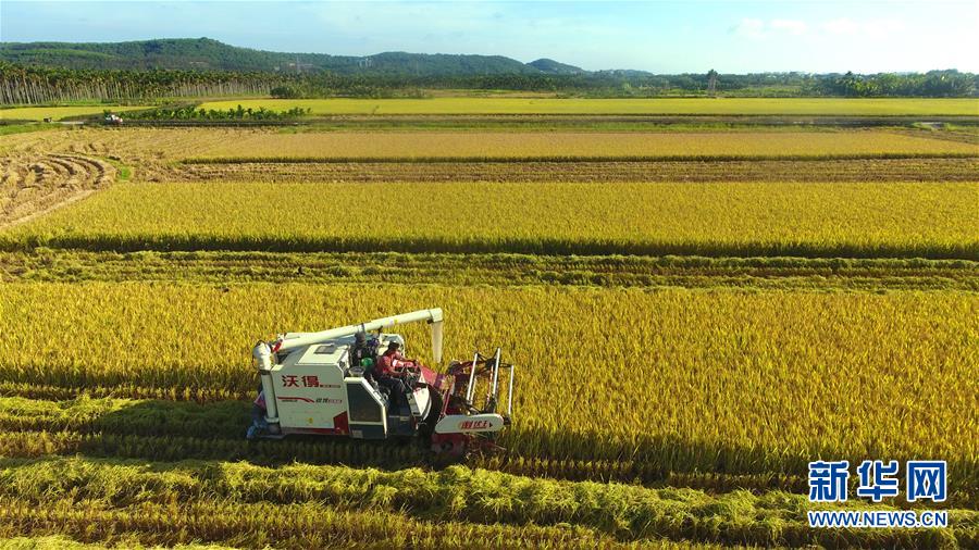 #����(j��ng)������1�������r(n��ng)æ