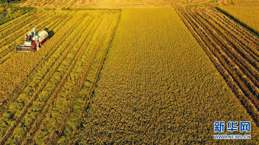 #����(j��ng)������2�������r(n��ng)æ