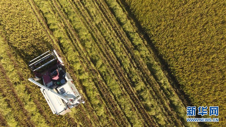 #����(j��ng)������3�������r(n��ng)æ