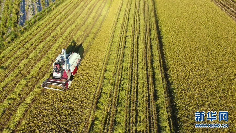 #����(j��ng)������4�������r(n��ng)æ