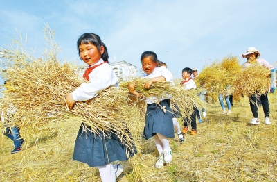 鄭州一小學(xué)有個(gè)農(nóng)趣園 師生們可在這播種勞作收獲