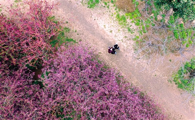 �ο�̫���У�o����܇���� ���M�������������?