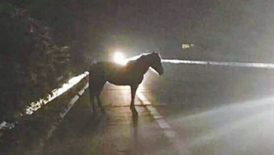 һƥ�E�R��؛܇������ʎ���� ������׷׃�����R�ĝh�ӡ�