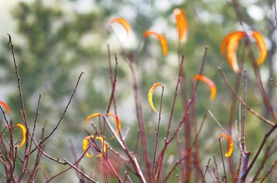 �������� 11�c(di��n) 58�ִ��������ĵ؁���