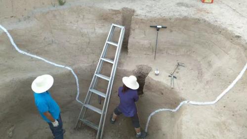 ���Ź������ڌ�(du��)�m�ǳǉ����ۺ����M(j��n)�Эh(hu��n)��ȡ�Ӝy(c��)�ܶ����������ṩ