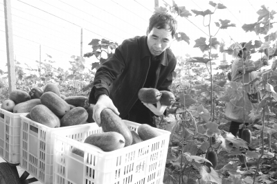 헳��С����߮������u���� �����r(n��ng)�������¸�