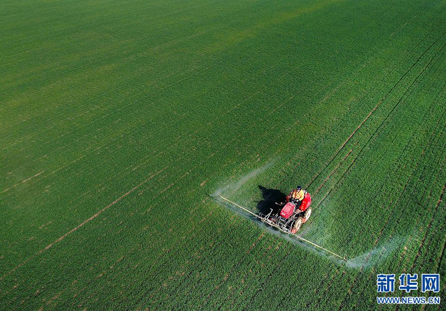 ���L(f��ng)���G�r(n��ng)��æ