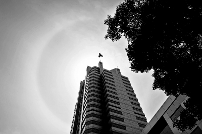 �������� 5�·ݺ������˲��١���(y��u)���족