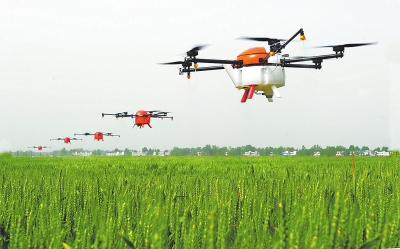 ���ƵZ�^�M�����꡿����Ҫ�أ���ֲ�r(n��ng)��l(f��)չ��(y��u)��