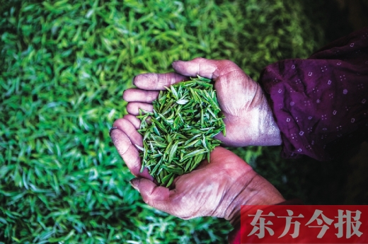 �ɲ費�� �Һ�����ϧ