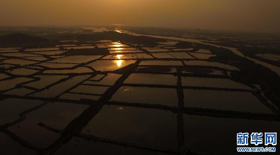 (���A�W(w��ng))(3)�r����ɫ