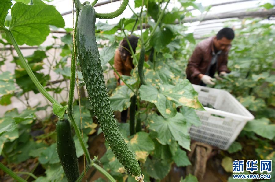 (���)(2)���ϻ��h:���I(y��)���������r(n��ng)�N�˟o�n