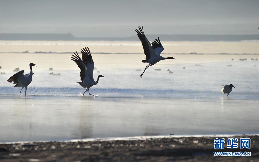 (XHDW)(5)�Q�������ز���