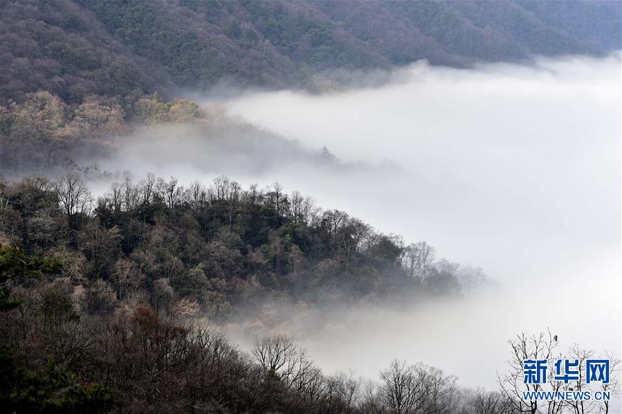 (�����Ї�(gu��))(4)���F�е����r(n��ng)��