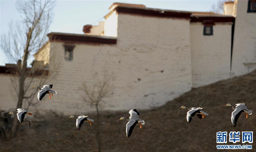 (XHDW)(3)���������_���B