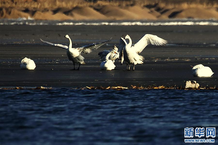 (���B(t��i))(3)�������B������ӝ��Խ��