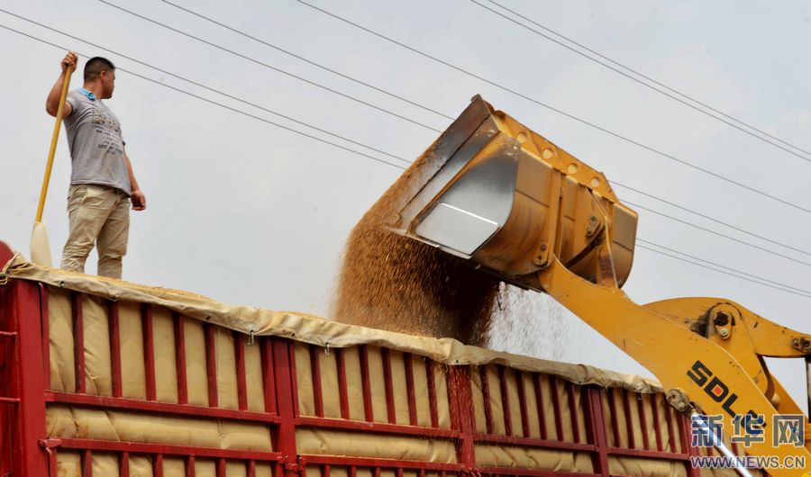 ���������ļZ��ُ(g��u)����չ�_(k��i)