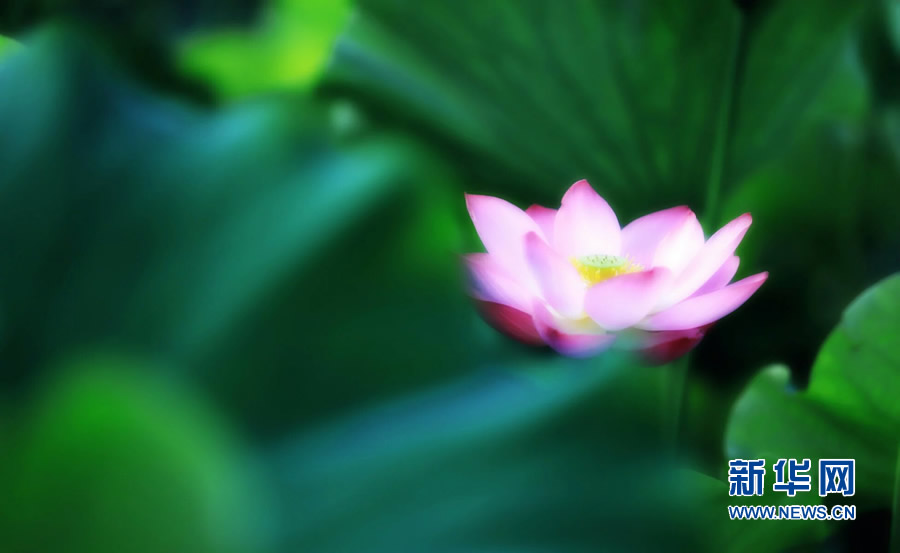 �����^������(d��ng)�r(sh��)