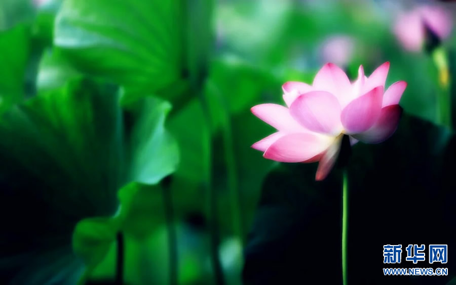 �����^������(d��ng)�r(sh��)