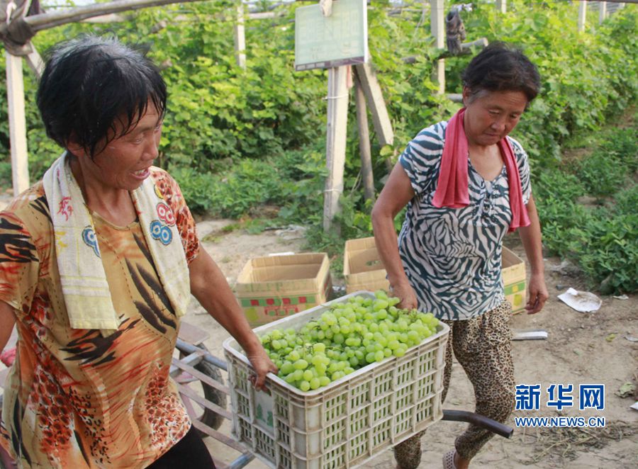 ���σ�(n��i)�S:��ɫ�Nֲ��������(zh��n)��ؚ