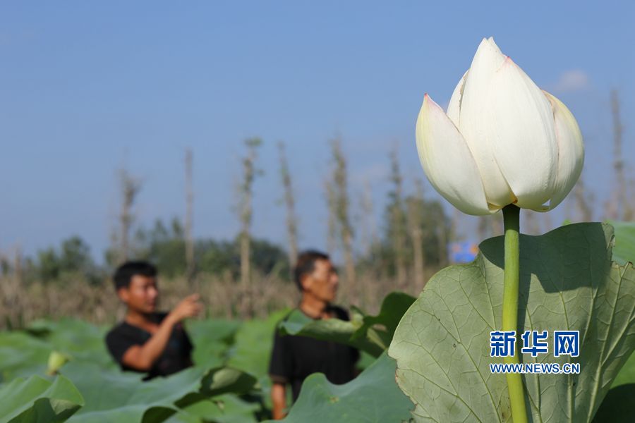 �������(qu��n):����(zh��n)��ؚ���r(n��ng)Ó��