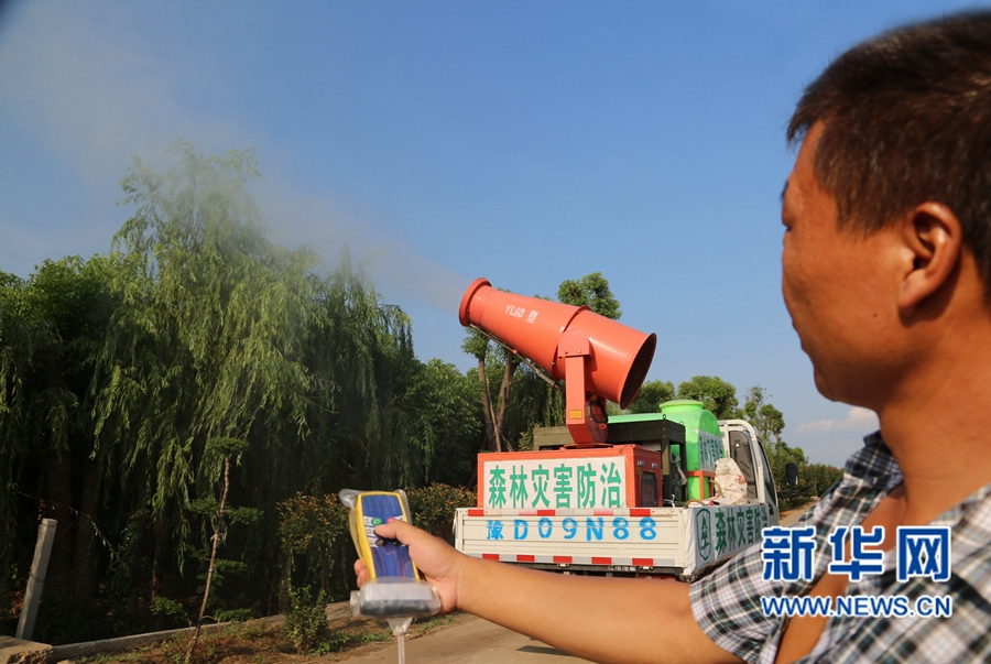 平頂山:地面噴藥,防治害蟲 平頂山:地面噴藥,防治害蟲