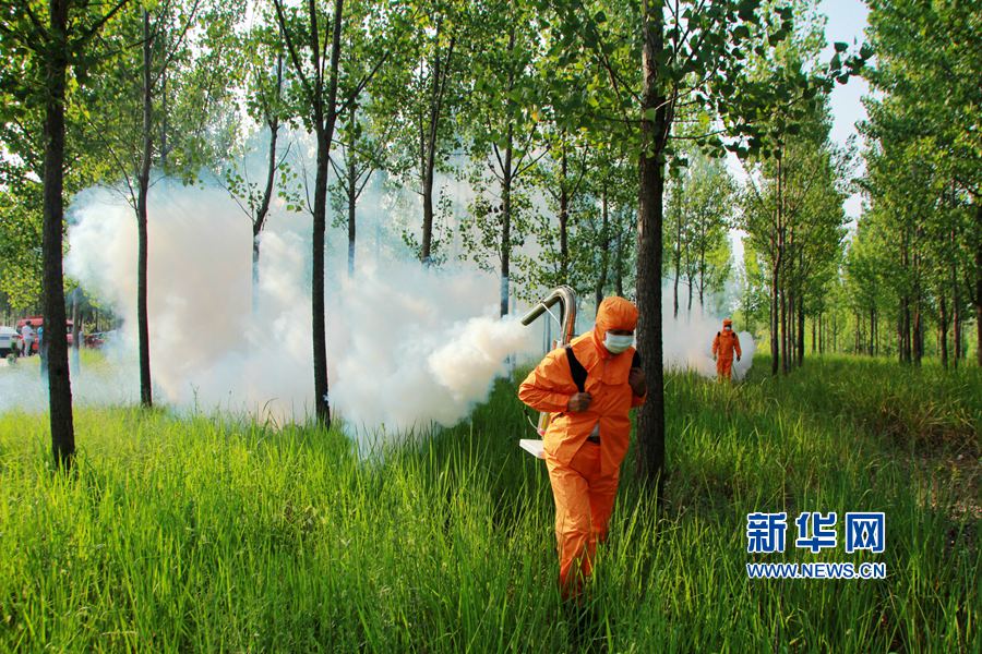 �������ġ���(zh��n)����