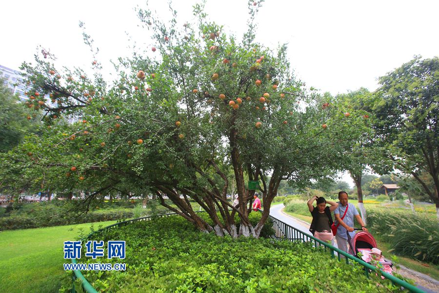  �_��:����ʯ��� �T���[֦�^