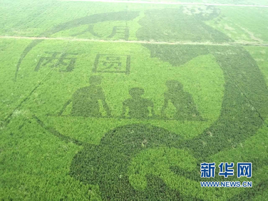 ������ġ�ˇ�g(sh��)����