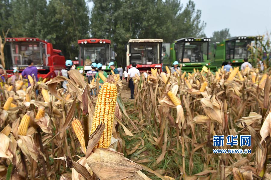 ���:�����ո�������Õ�,���^�յ��^�u