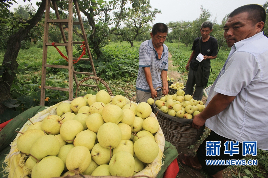 �����_��:����h����r(n��ng)Ц