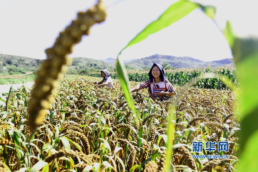 ��������:����r��(ji��) �����h��