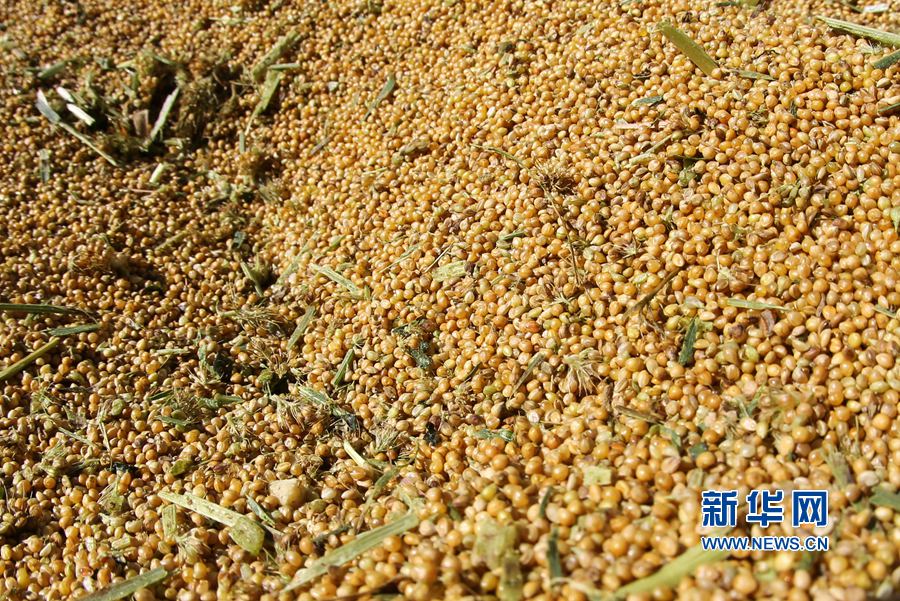 ��������:����r��(ji��) �����h��