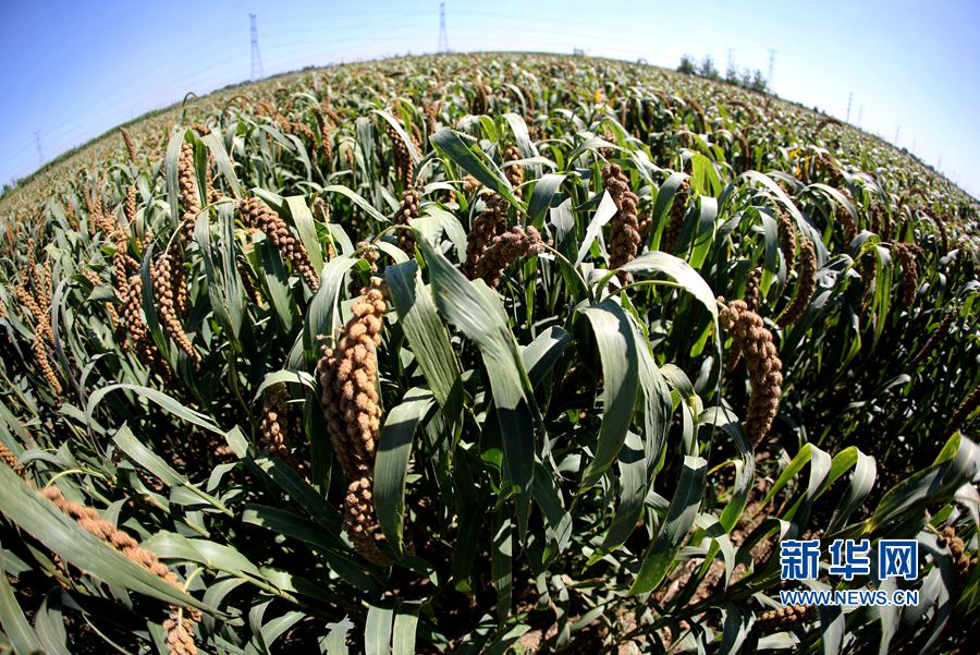 ��������:����r��(ji��) �����h��