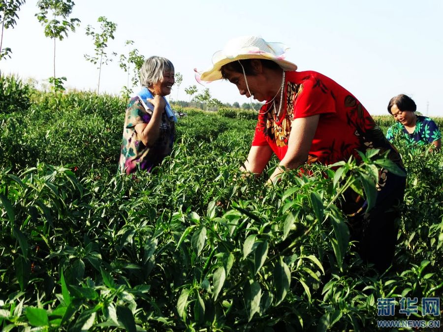 ��������:���r(n��ng)������܊�� �͘I(y��)����æ