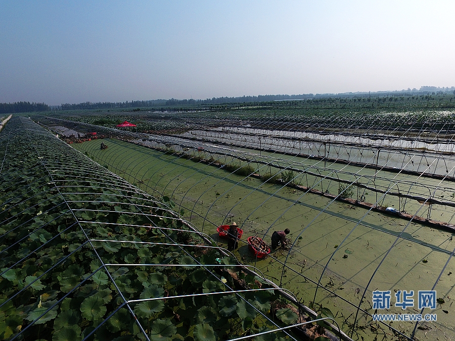 ���W(w��ng)�j(lu��)ý�w���D(zhu��n)�ġ�����:ɏź���B�����¸�·