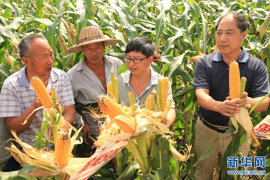 �������:���g�ƽ���ɞ��r(n��ng)�񡰺ü��С�