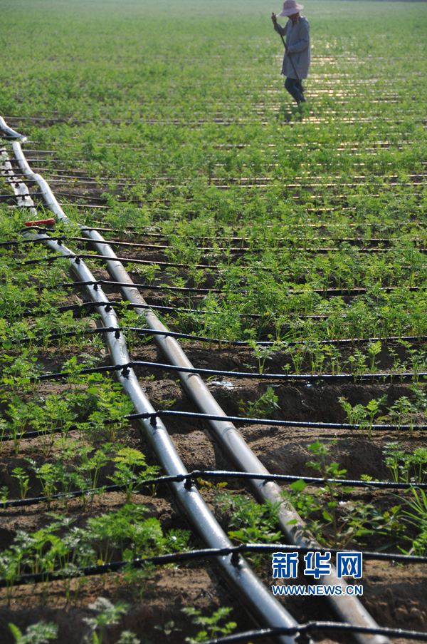 ���σ�(n��i)�S:׌ÿһ��ˮ���l(f��)�]���Ч��