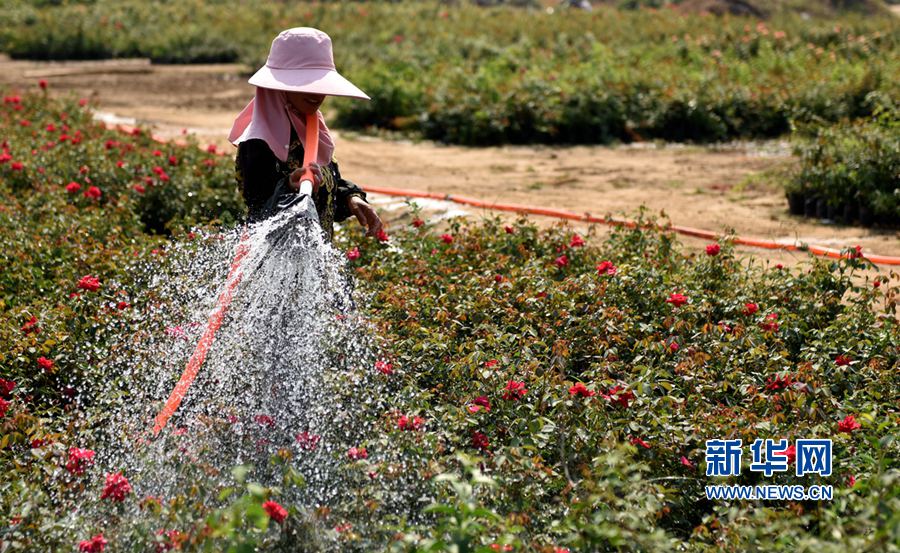 ���(y��ng):�¼������� ���g����æ