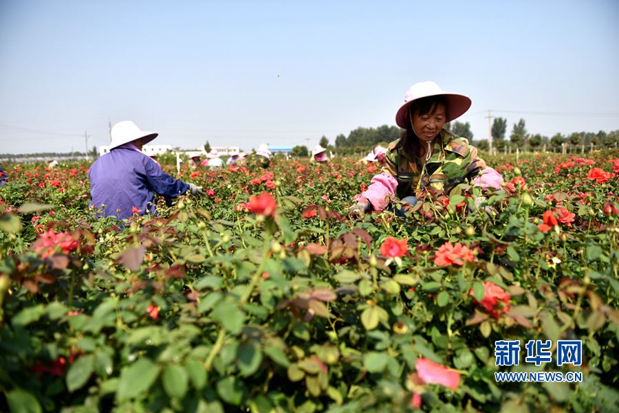 ���(y��ng):�¼������� ���g����æ