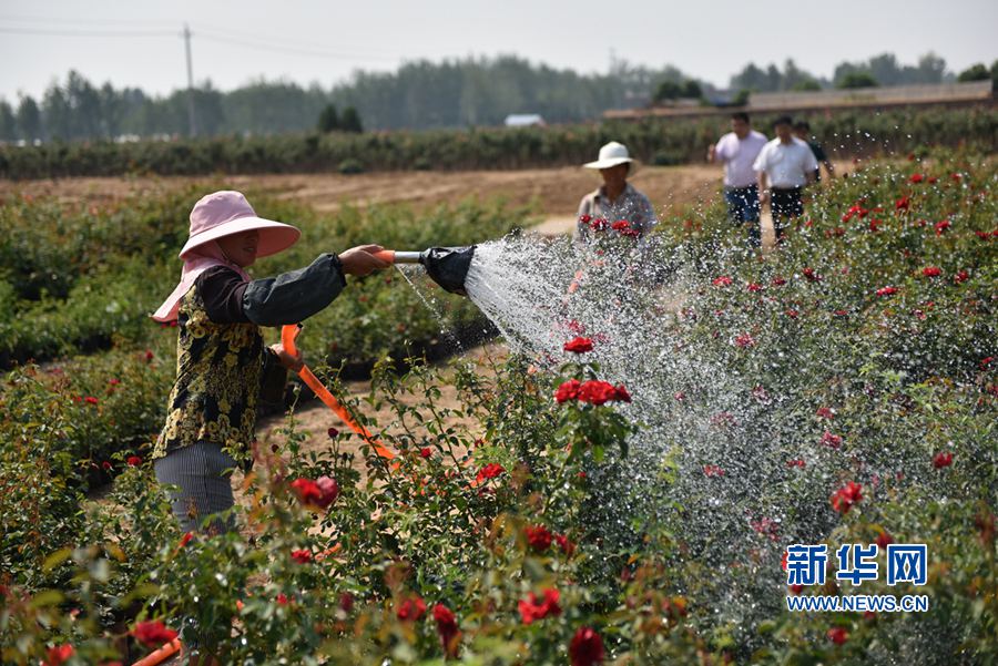 ���(y��ng):�¼������� ���g����æ