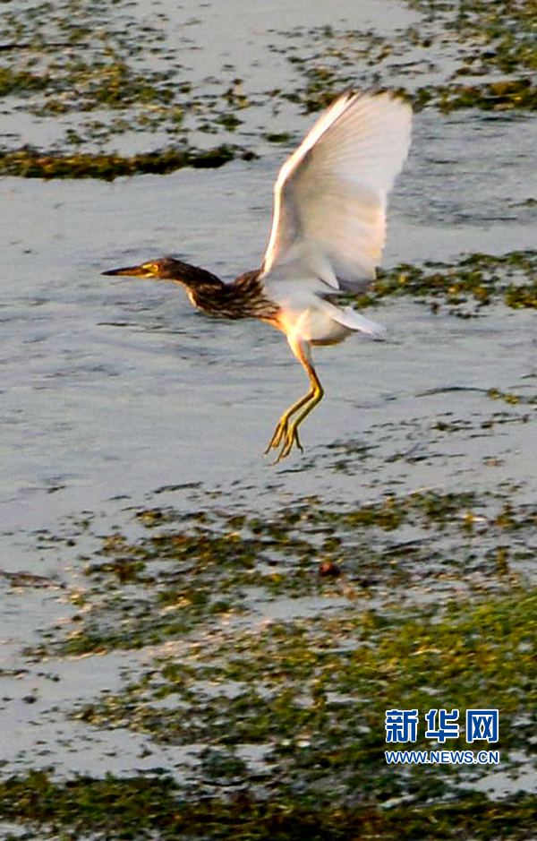 �������(y��ng):��ˮ�{(l��n)�� ���C֮��